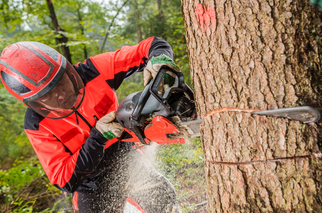 a man cutting down a tree with a chainsaw wearing cut resistant gloves