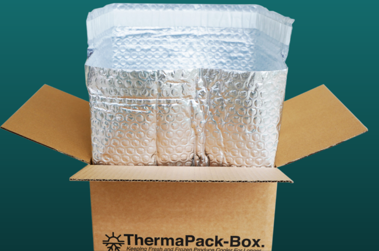 A Comprehensive Guide to Temperature-Controlled Packaging: Essential Insights and Leading Brands