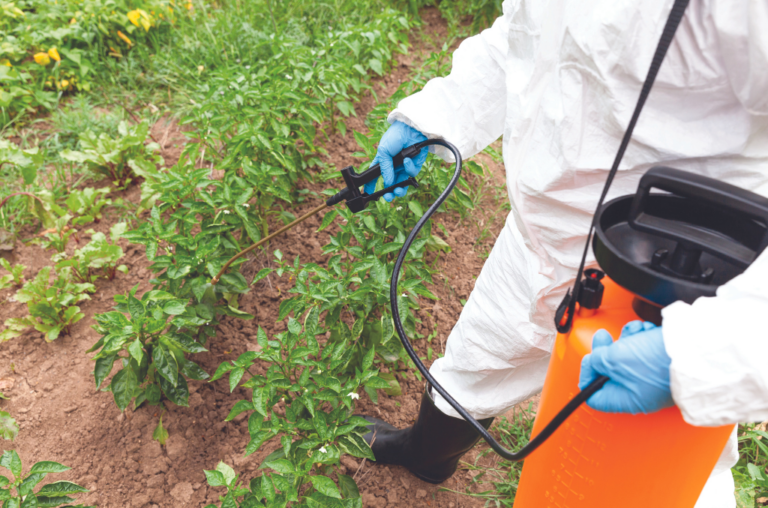 Eliminate Unwanted Plants with the Right Weed Killer: A Comprehensive Guide